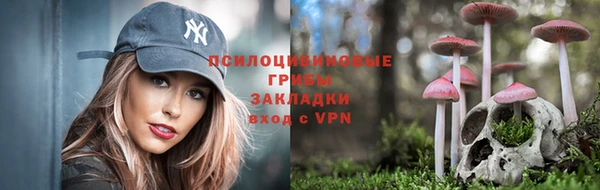 кокс Баксан