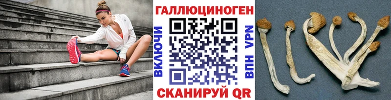 Купить  Туапсе  Псилоцибиновые грибы MAGIC MUSHROOMS 